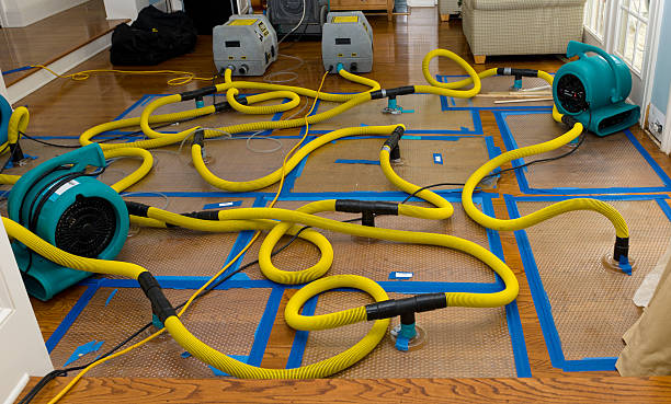 Professional Emergency Water Removal technician working in Onsted, MI